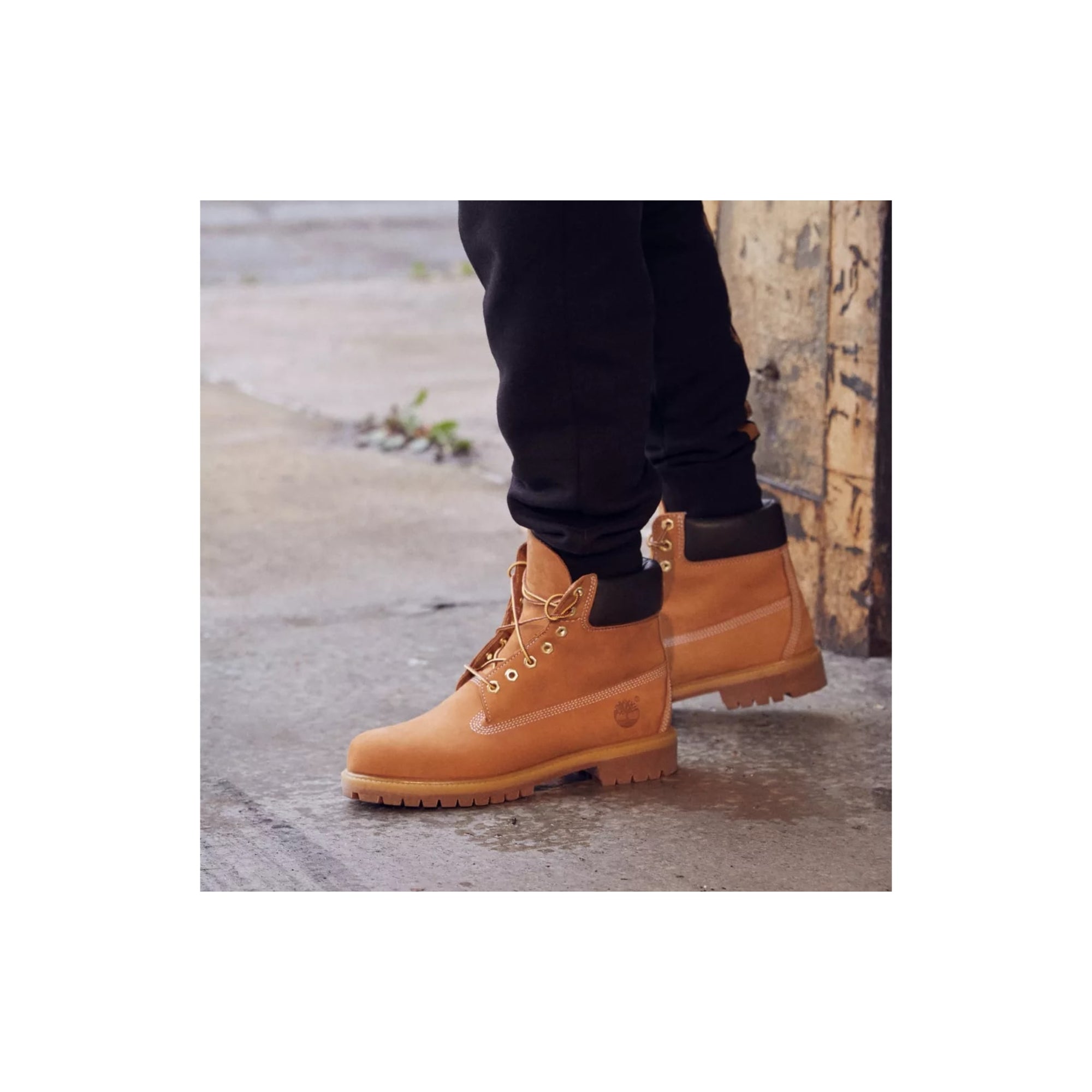 Timberland Men's 6-inch Premium Waterproof Boot Size 11 - Wheat Nubuck