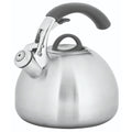 Avanti 2.5L Varerse Whistling Kettle - Silver