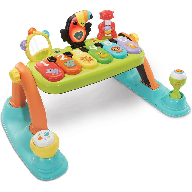 VTech 5in1 Toucan Tunes Play Gym