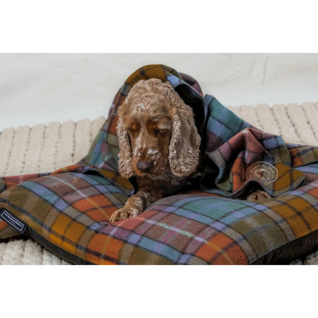 The Grampians Goods Co Pet Blanket - Autumn