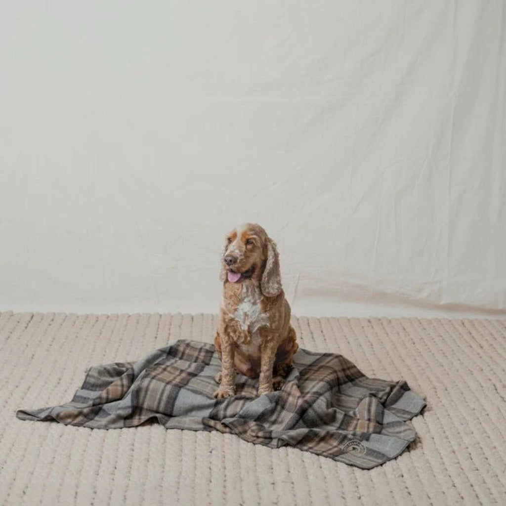 The Grampians Goods Co Pet Blanket - Winter