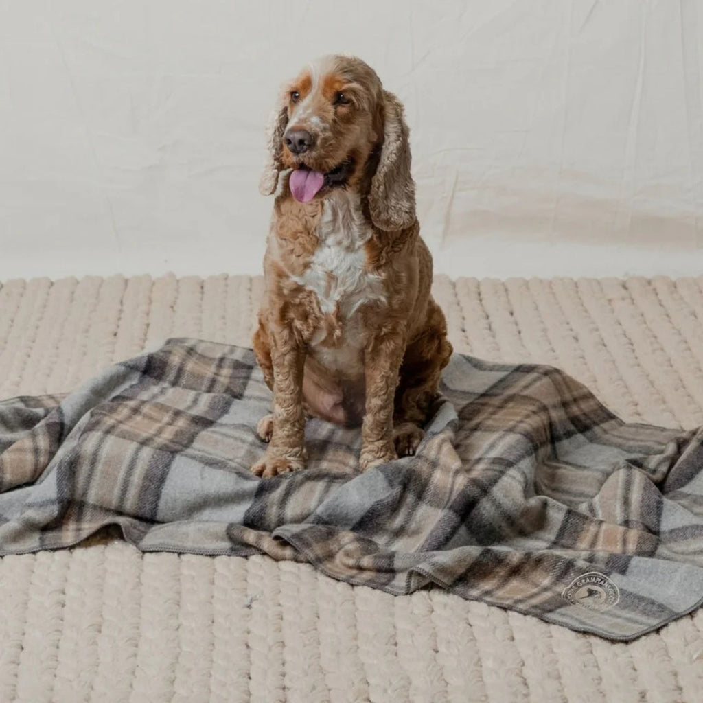 The Grampians Goods Co Pet Blanket - Winter