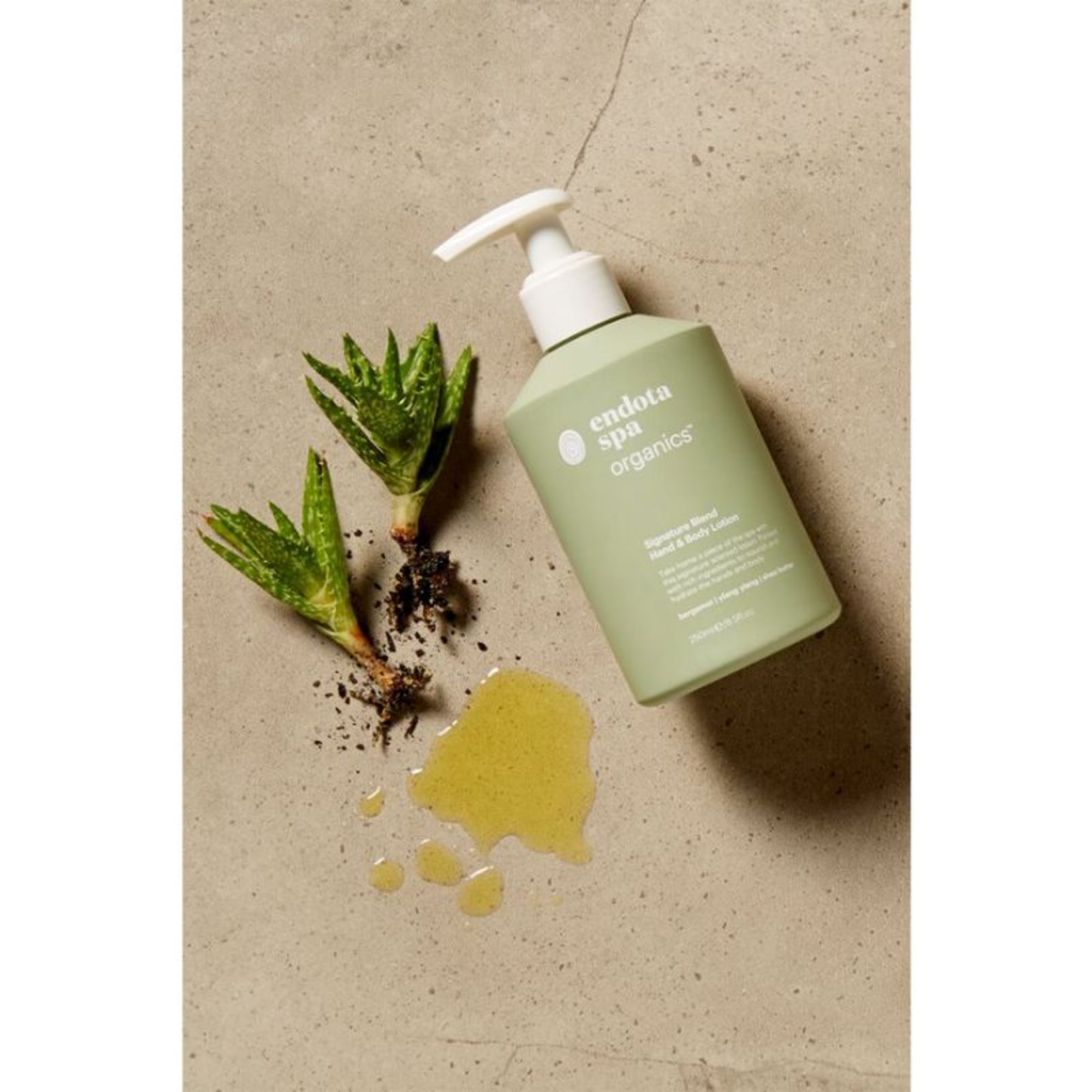 Endota Organics Signature Blend Hand Wash + Lotion 250ml Set