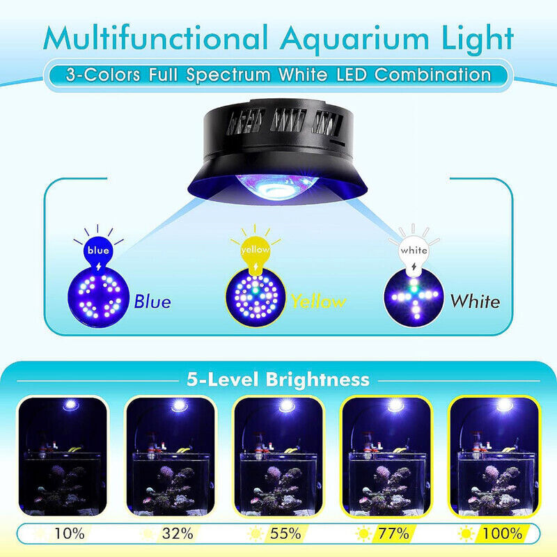 Hygger Marine Clip On LED Light - Black