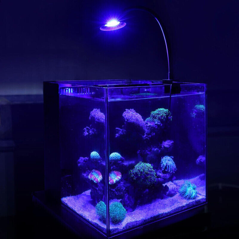 Hygger Marine Clip On LED Light - Black
