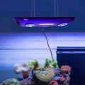 Hygger Coral Light and Seawater Lamp with App Control 200W