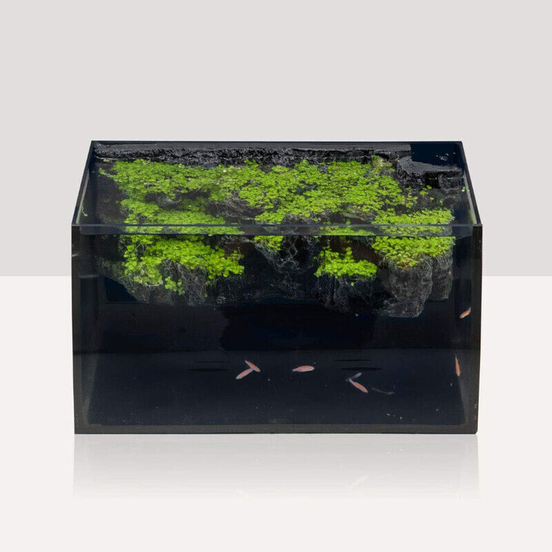 Hygger Betta Fish Tank - Black