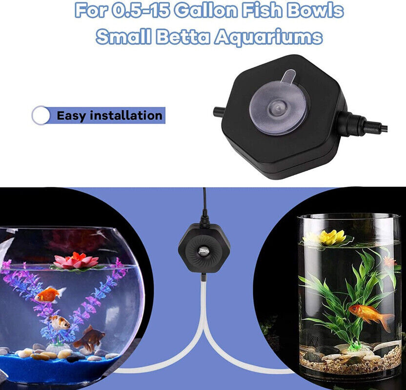 Hygger Mini Glass Oblate Fish Bowl and Hexagon Mini Air Pump - KBHG97175-Black/C
