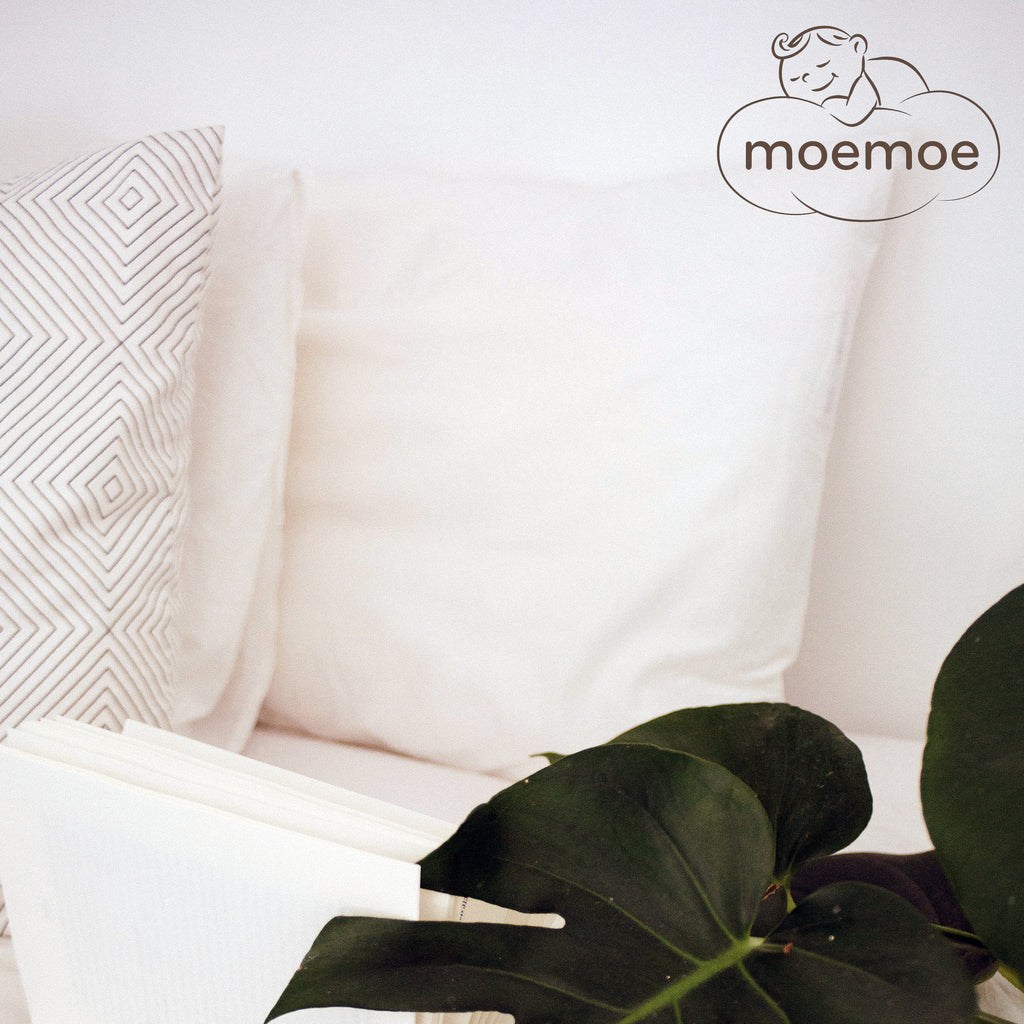 Moemoe 100% New Zealand Wool Blend Pillow Pack