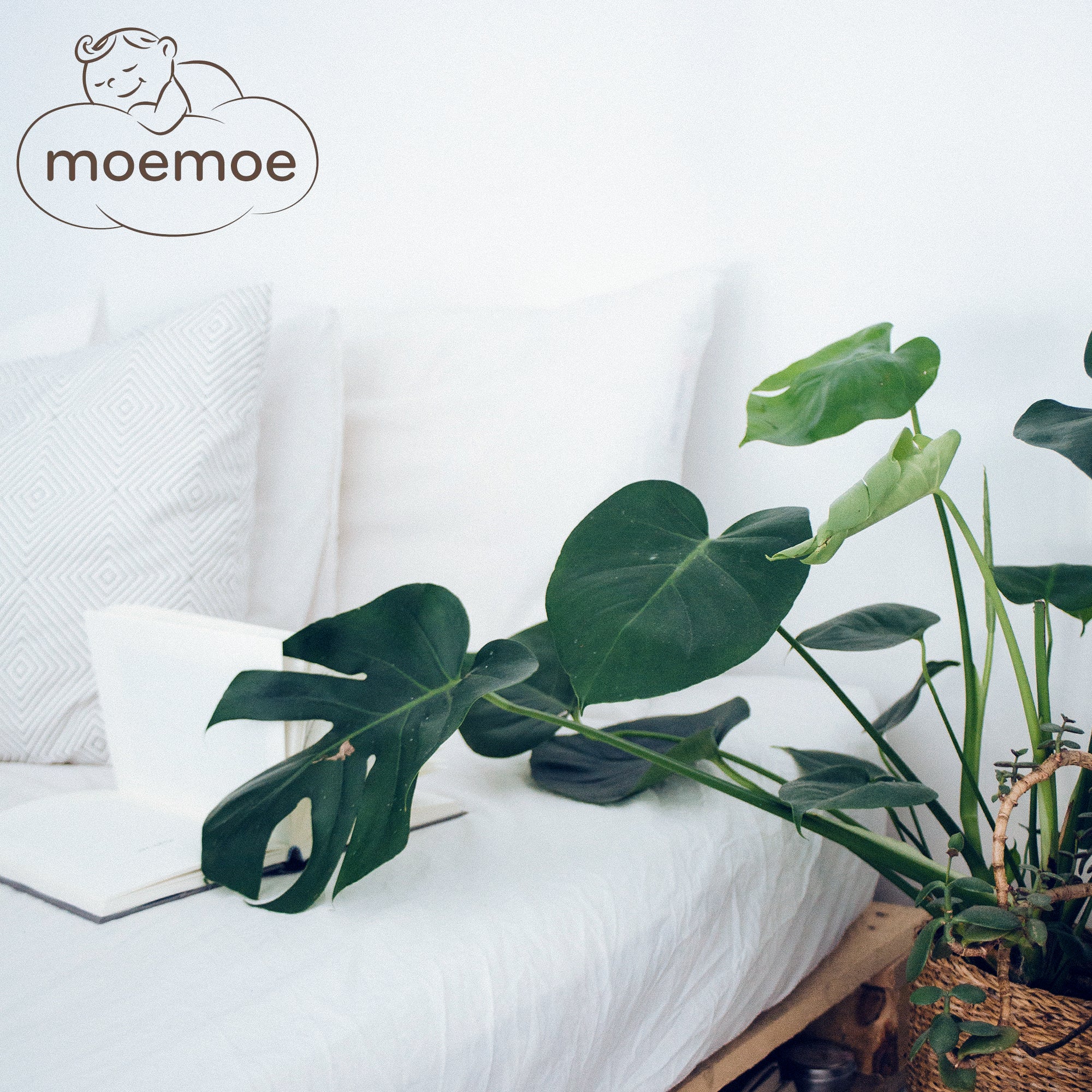 Moemoe 100% New Zealand Wool Duvet Inner - Everyday Weight Queen
