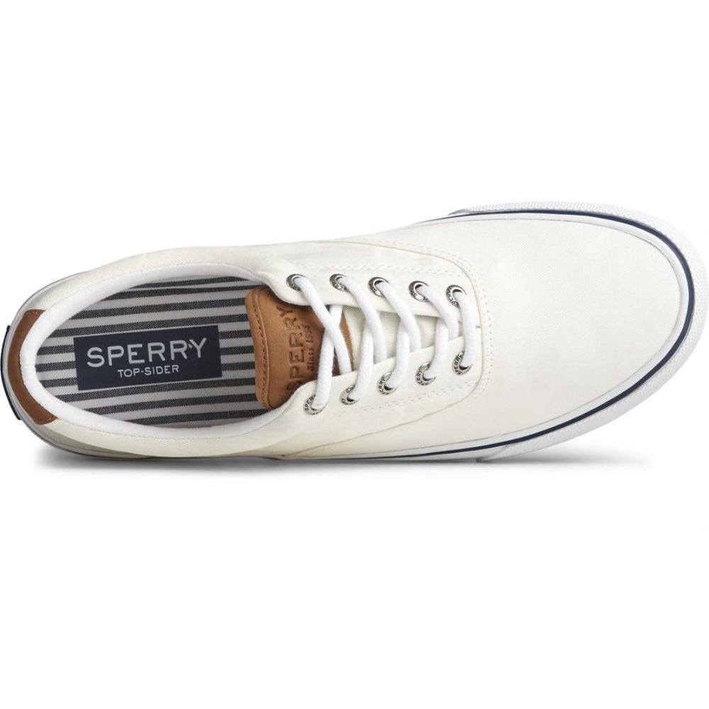 Sperry Men's Striper II CVO SW Sneaker - White -Canvas Cotton - Size 10